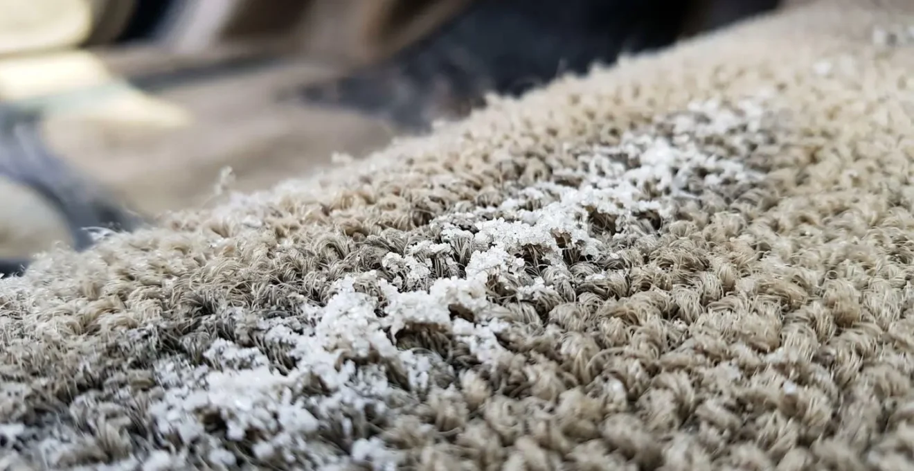 Tapis de voiture en velours beige avec traces de sel visibles sous éclairage naturel